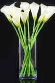 Paşabahçe Silindir Cam Vazo Yükseklik : 23 cm Genişlik 9 cm - 2