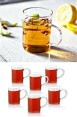 Sekiz8 6 Adet Borosilikat Isıya Dayanıklı Termisil Cam Kupa, Çay Kahve Bardağı 200ml - 2