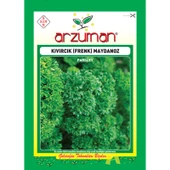 Arzuman Kıvırcık (Frenk) Maydanoz - 1