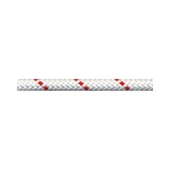BEAL SPELENIUM  10MM X 100M STATIK IP - 6