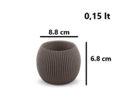 Omnipazar KRS Mercan Dekoratif Sukulent Kaktüs Plastik Saksı Takımı 3'lü Set Kahverengi thumbnail 5