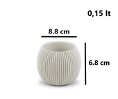 Omnipazar KRS Mercan Dekoratif Sukulent Kaktüs Plastik Saksı Takımı 3'lü Set Bej thumbnail 4