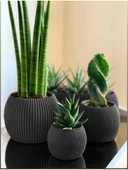 Omnipazar KRS Mercan Dekoratif Sukulent Kaktüs Plastik Saksı Takımı 3'lü Set Antrasit - 1