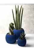 Omnipazar KRS Mercan Dekoratif Sukulent Kaktüs Plastik Saksı Takımı 3'lü Set Gece Mavisi thumbnail 1