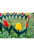 abnturk 340cm Sarı Kırmızı Renklerde Lale Çiçekli Bahçe Çiti Kaliteli Plastikten 80x30cm Eklenebilir 4 Panel - 1