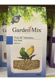 Garden Mix Platin Yulaf Tohumu 200 Gr - 2