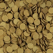 Sera Axolotl wafers Nature 250 ml 105 gr Orjinal Kutusunda  Skt: 05/2028 thumbnail 2