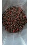 Quruella Freeze Dried Böğürtlen - Dondurularak Kurutulmuş Meyve - Freeze Dry Meyve Kurusu 20gr. - 3