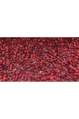 Quruella Freeze dried Ahududu 20gr. dondurularak kurutulmuş meyve - 2