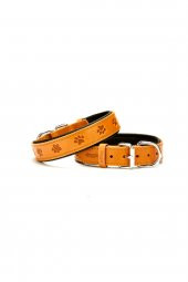 Yumuşak Dokulu Pati Desenli Köpek Boyun Tasması Kamel SBT-4036 L - 1