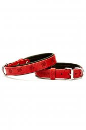 Pati Desenli Deri Köpek Boyun Tasması 2x30-35cm - Red - 1