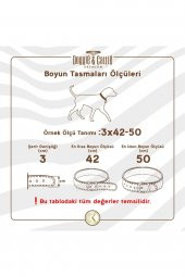 Pati Desenli Deri Köpek Boyun Tasması 2x30-35cm - Red - 3