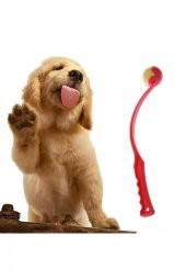 DogMozz Köpekler İçin Çek Bırak Top Fırlatıcısı Oyuncak - 1