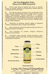 100 Elma Kivi Smoothie 250 ml - 2