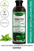 Phytoflora Tuzsuz Yağlı Ve Kepekli Saçlara Özel Isırgan Özlü Bitkisel Şampuan 400ml thumbnail 1