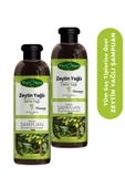 Phytoflora Tuzsuz Tüm Saç Tiplerine Özel Zeytinyağlı Bitkisel Şampuan 400 Ml, 2 Adet - 1