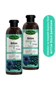 Phytoflora Tuzsuz Dökülen Ve Kepekli Saçlara Özel Bıttım Özlü Bitkisel Şampuan 400 Ml, 2 Adet - 1