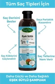 MUSENSO Phytoflora Kepek Karşıtı Tuzsuz Eşek Sütü Ve Hindistan Cevizi Yağlı Bitkisel Şampuan 400 Ml - 2
