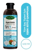 MUSENSO Phytoflora Kepek Karşıtı Tuzsuz Eşek Sütü Ve Hindistan Cevizi Yağlı Bitkisel Şampuan 400 Ml - 1