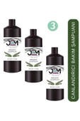 Jem Kozmetik Bitkisel Biberiye Şampuanı 250 ML * 3 ADET Canlandırıcı Bakım Şampuanı - 1
