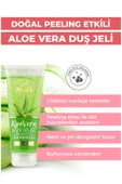 Ab-ı Gül Aleo Vera Body Peeling Doğal Kayısı Çekirdeği Tanecikleri 250 Ml - 2