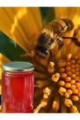 aleyna baharat Yayla Çiçek Balı 850 g - 2