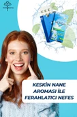 nintipharma Keskin Nane Aromalı Şekersiz Tablet - 3