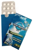 nintipharma Keskin Nane Aromalı Şekersiz Tablet Spearmint 54lü - 5