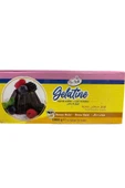 Dr. Gusto DR GUSTO YAPRAK JELATİN 1000 Gr. - 1