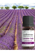 whisperpro Lavanta Yağı %100 Saf - Bitkisel Aromaterapi Lavanta Uyku Ve Stres Yağı 10ml - Uçucu Yağ - 3
