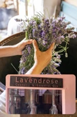 whisperpro Lavanta Yağı %100 Saf - Bitkisel Aromaterapi Lavanta Uyku Ve Stres Yağı 10ml - Uçucu Yağ - 4