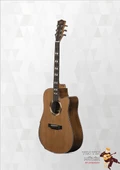 Zoppran Aczp800 Akustik Gitar - 2