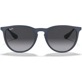 RAY-BAN RB 4171 ERİKA 6002 8G 54 18 145 3N UNİSEX GÜNEŞ GÖZLÜĞÜ thumbnail 2