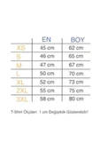 Panorama Ajans Evo X Baskılı T-shirt - 2