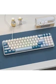 ATAsoft ELEKTRONİK Since 2021 K65 Oyuncu Klavyesi Gaming Mekanik 78 Tuşlu Rainbow Aydınlatmalı Hot-Swapp Usb Tip-c Kablosu - 4