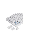 ATAsoft ELEKTRONİK Since 2021 K550 Kablolu Hot-Swap Rainbow RGB Blue Switch Mekanik Klavye 87 Tuş thumbnail 4