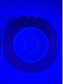 Eagenset Hazır Çapari Kombini Boru Sim Ultraviyole Uv Neon Kırmızı Makarada thumbnail 9