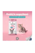 VetPrive Vet Prive Tavuklu Yavru Kedi Maması 10 Kg - 2