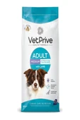 VetPrive Vet Prive Orta Ve Iri Irk Yetişkin Köpek Maması Kuzu Etli 14 Kg - 1