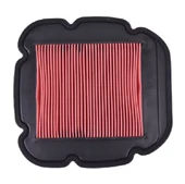 Motomaster 303-571 Hava Filtresi - 1