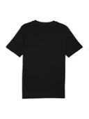 Puma Graphic Tee 68803275 Erkek Kısa Kol T-Shirt thumbnail 2