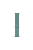 KILIFTECH Watch 38mm Band Serisi Klasik Kordon Silikon Strap Kayış-Cactus - 1