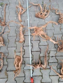 Netx Çöl (Yati) Kütüğü Bağ 35-45 cm thumbnail 2