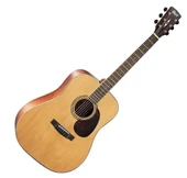 Cort EARTH100NS Natural Satin Akustik Gitar kutu hasaralı - 1