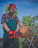 EİNHELL ELEKTRİKLİ AĞAÇ KESME GC-EC 2040 4501230 thumbnail 2