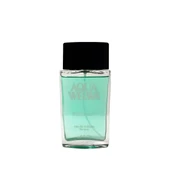 Aqua Welwa Wild Desert EDT Erkek Parfümü 100 ml - 1
