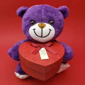 Sevimli Kalp Kutulu Peluş Ayıcık Tg-53-vice/(1395) 660 thumbnail 1