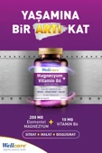 Wellcare Magnezyum + Vitamin B6 30 Tablet 2'li - 3