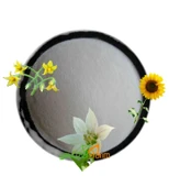 MAP Gübresi Mono Amonyum Fosfat Ec Fertilizer 12.61.0 NP Water Soluble 2,5 Kg - 2