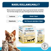 OneVet Fosfat Bağlayıcı Kedi Ve Köpekler Için Böbrek Sağlığı Destekleyici Toz Şase 1 Gr. 30 Adet - 6